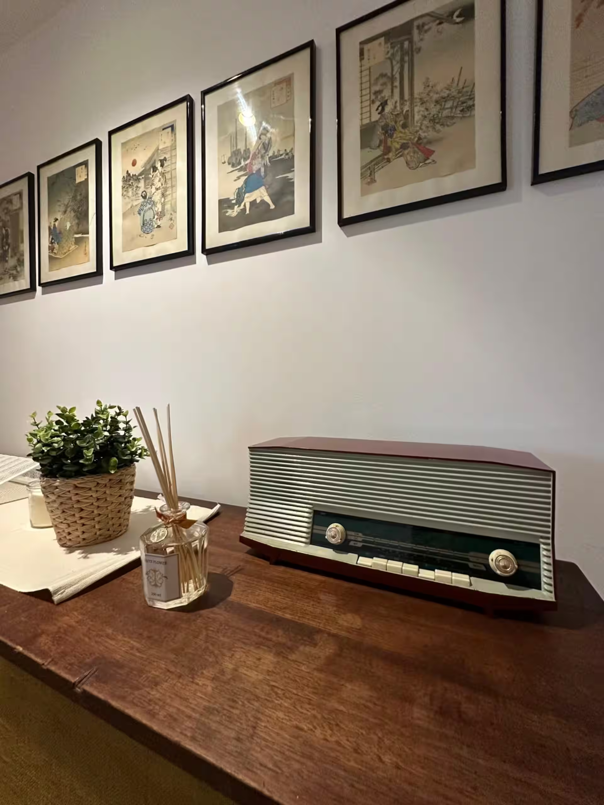 Adembenemend panoramisch uitzicht over een Alpenmeer, omringd door groene bergen en een charmant dorpje aan het meer